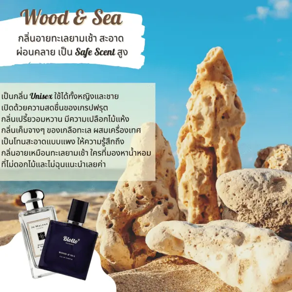 น้ำหอม Wood & Sea กลิ่นเทียบ (Wood Sage and Sea Salt)